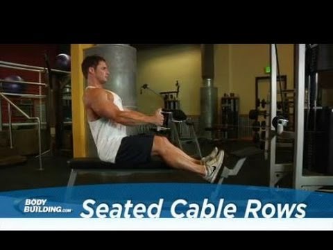 Seated Cable Rows - Back Exercise - Bodybuilding.com