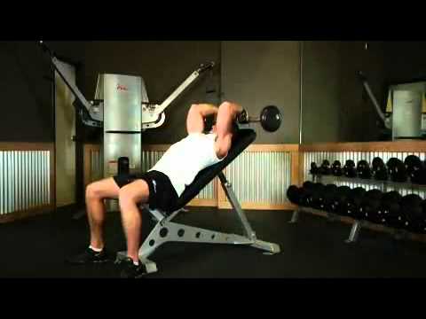 Triceps - Incline Barbell Triceps Extension Exercise Guide